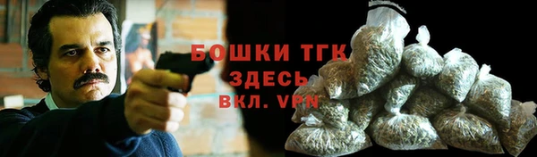 молекула духа Зеленодольск