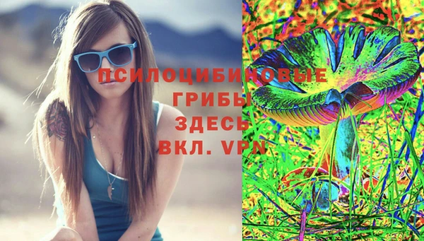молекула духа Зеленодольск