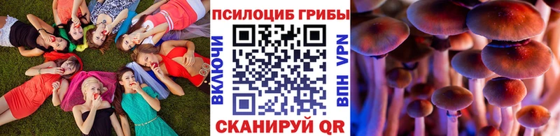 Галлюциногенные грибы MAGIC MUSHROOMS  Купить где  Певек 
