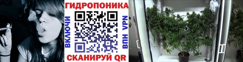 Канабис ГИДРОПОН Певек